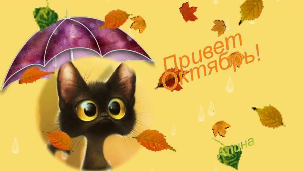 Здравствуй осень октябрь