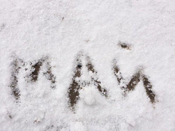 Сугробы в мае