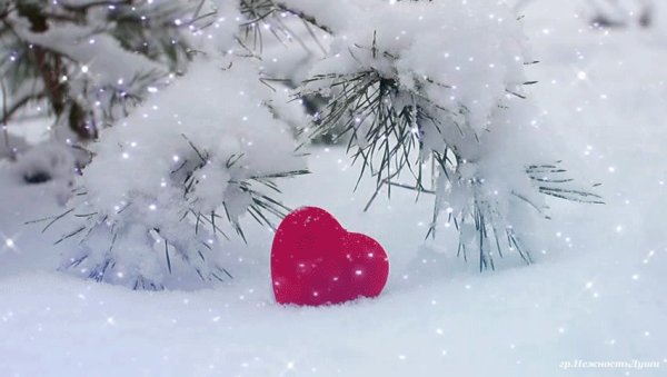 Сердце в зимнем лесу