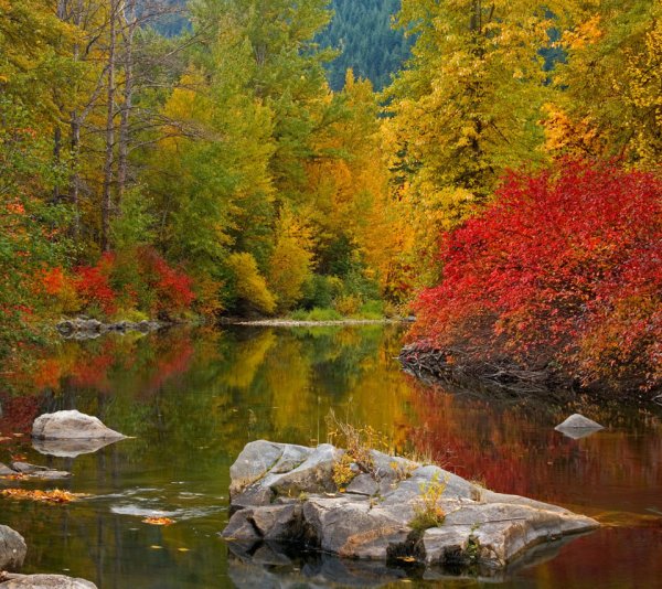 Золотая осень