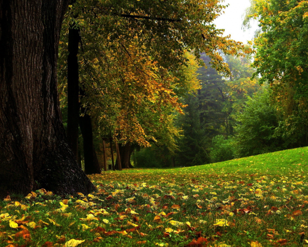 Ранняя осень