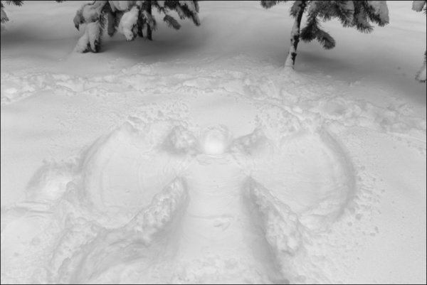 Ангел в сугробе