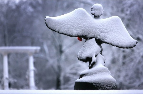 Ангел на снегу