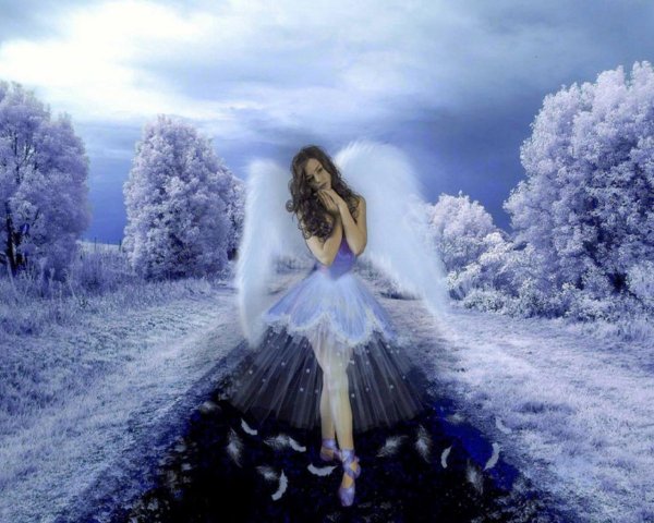 Ангел на снегу