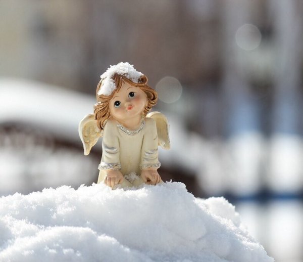 Красивые ангелочки зимой