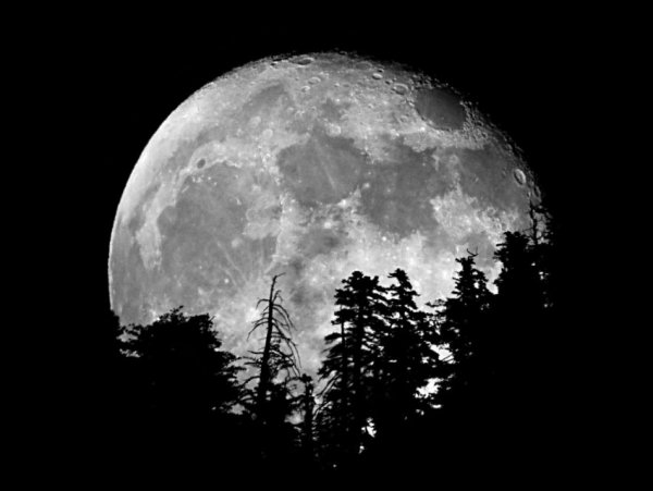 Луна черно белая