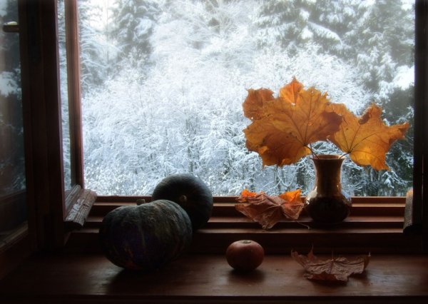 Осень на подоконнике