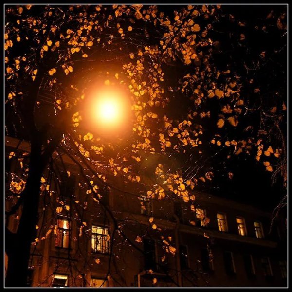 Окно в ночь осень