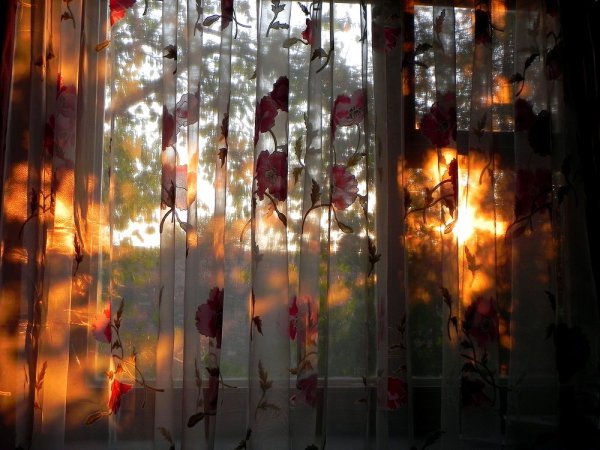 Осенний дождь из окна