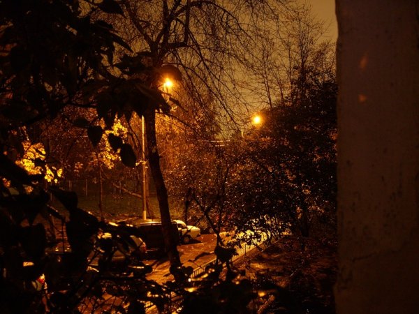 Осенний сад ночью