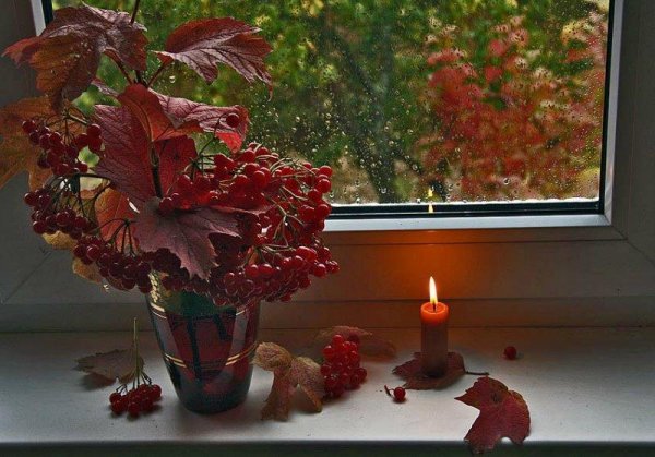 Осень на подоконнике