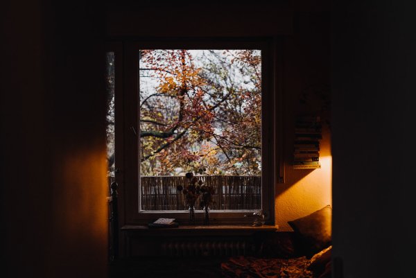 Вид из окна поздняя осень