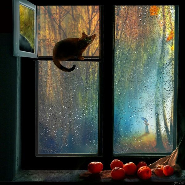 Картина кот на подоконнике