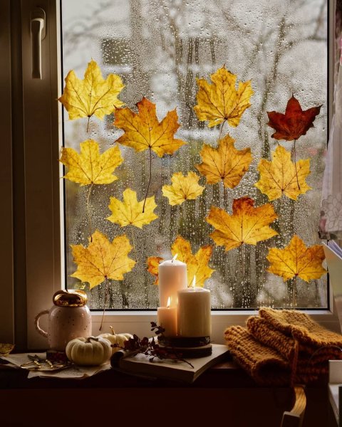 Теплой и уютной осени