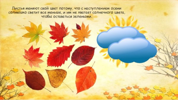 Солнце осенью для детей