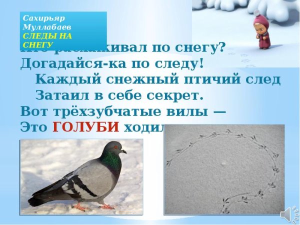 Следы голубя на снегу