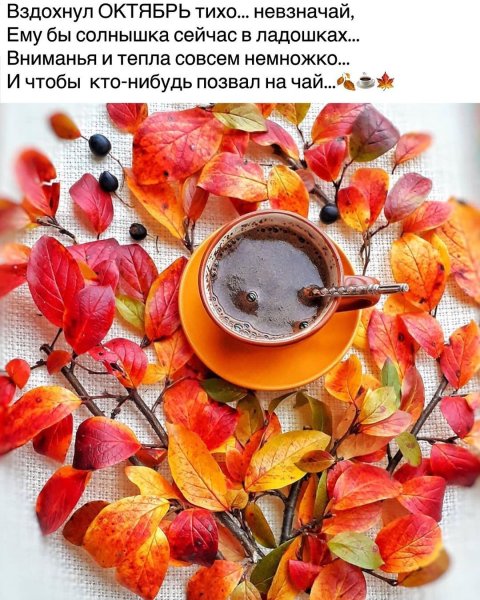 Доброе осеннее утро