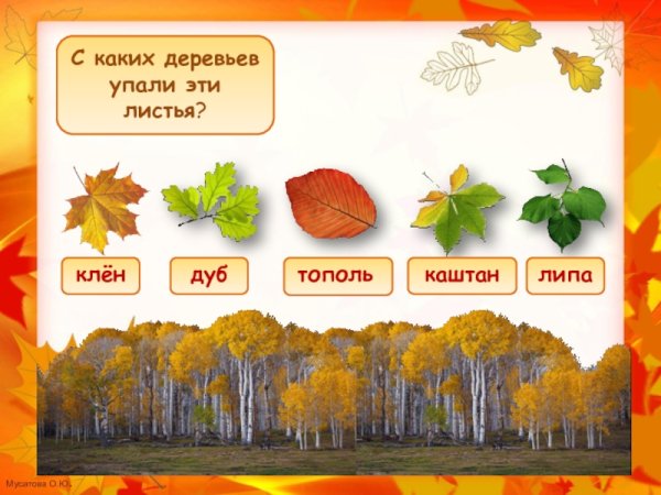 Месяцы осени для детей
