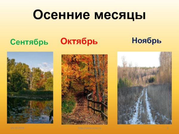 Осенние месяцы