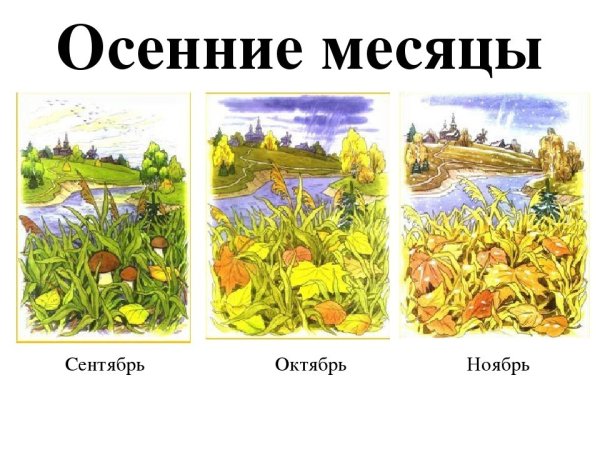 Сентябрь октябрь ноябрь