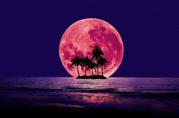 Розовая Луна