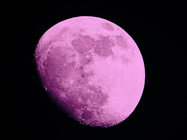 Розовая Планета