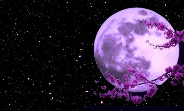 Сиреневая Луна