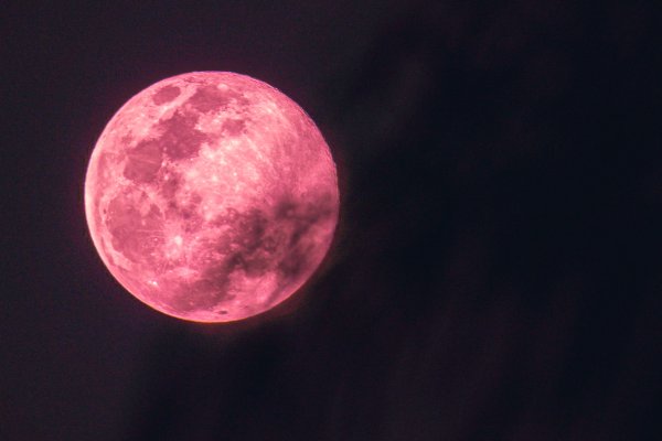 Розовое полнолуние