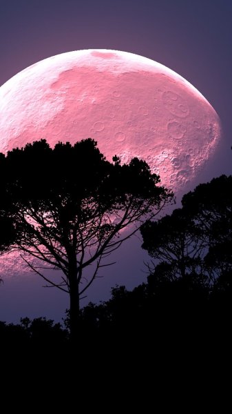 Розовая Луна
