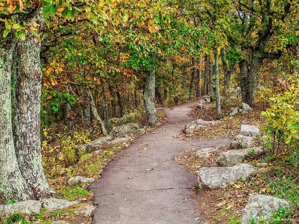 Дубовая роща каменные тропинки