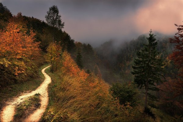 Туманная осень