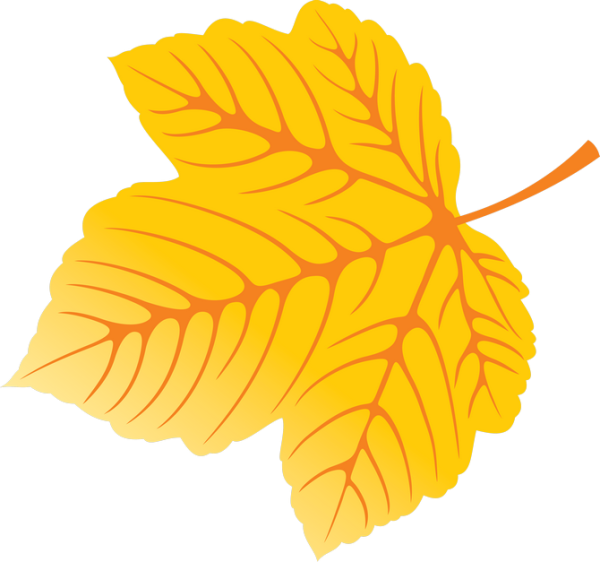 Желтые листочки