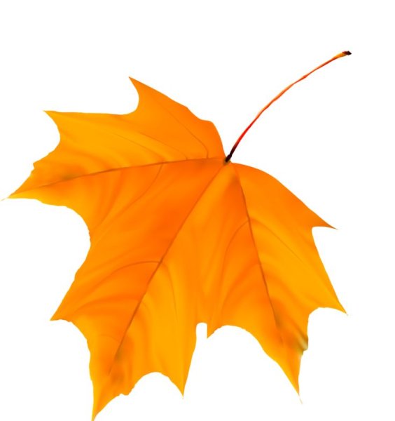 Осенний листок