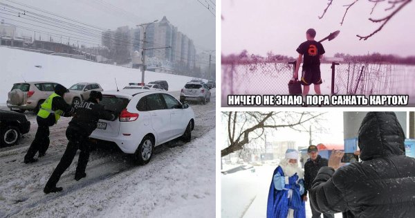 Про снег в апреле смешные