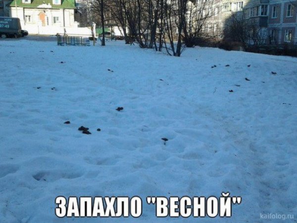 Шутки про снег весной