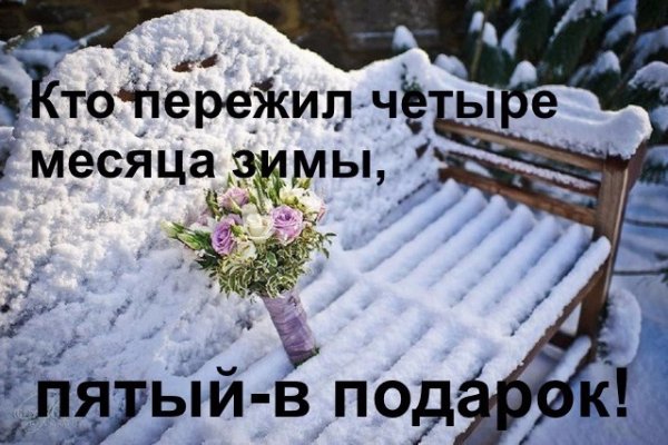 Месяц зимы в подарок