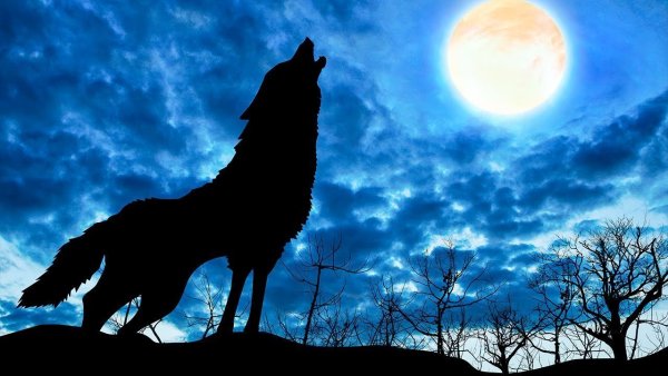 Силуэт волка воющего на луну