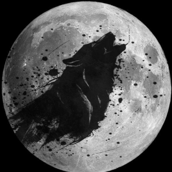 Волк воет на луну