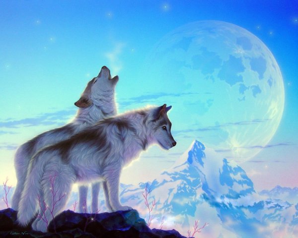 Картины японского художника Кетаро Ничино волк