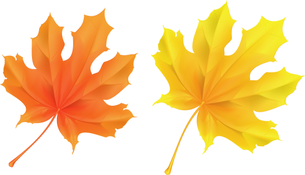 Осенний листок