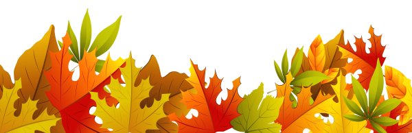 Векторный осенние листья