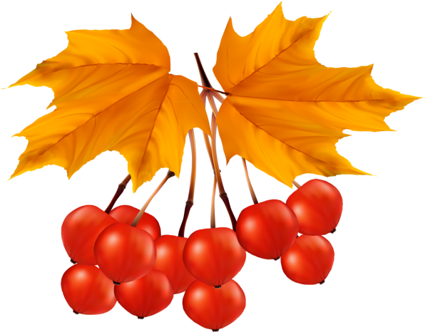 Осенние листочки картинки