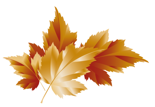 Осенние листики на прозрачном фоне