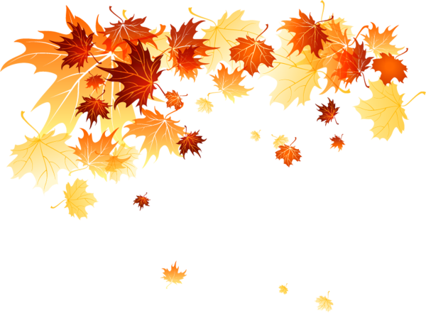 Осенние листья на прозрачном фоне