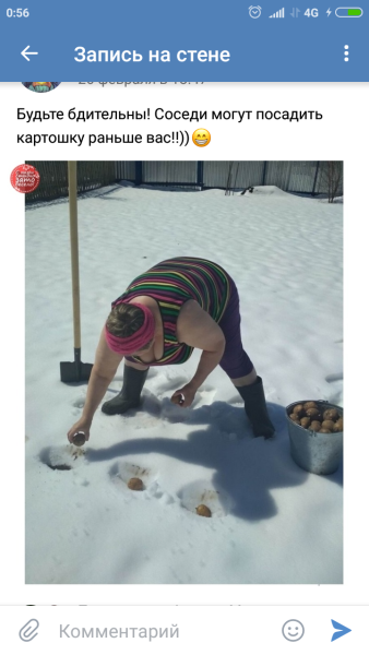 Картошка в снегу