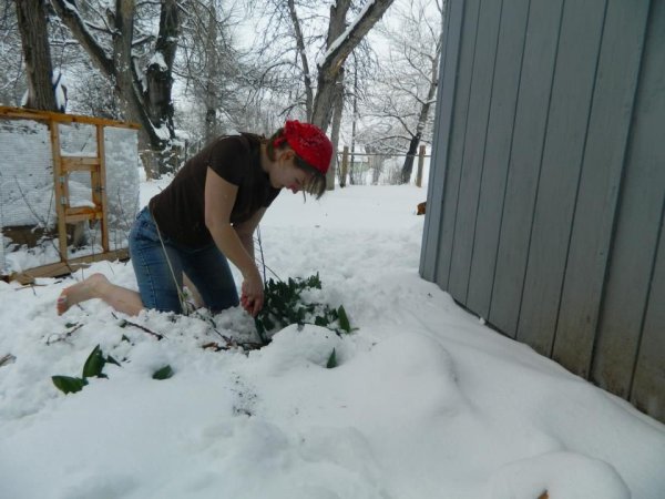 Человек в снегу на даче