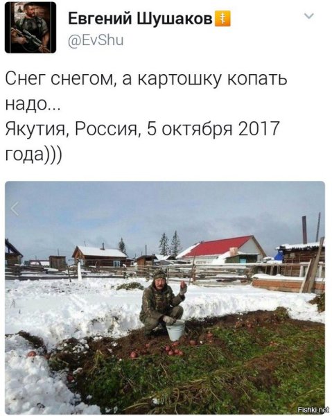 Картошка в снегу