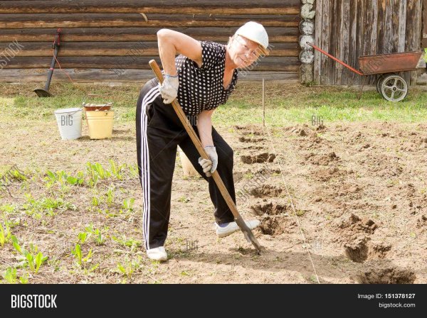 Лопата копать картошку