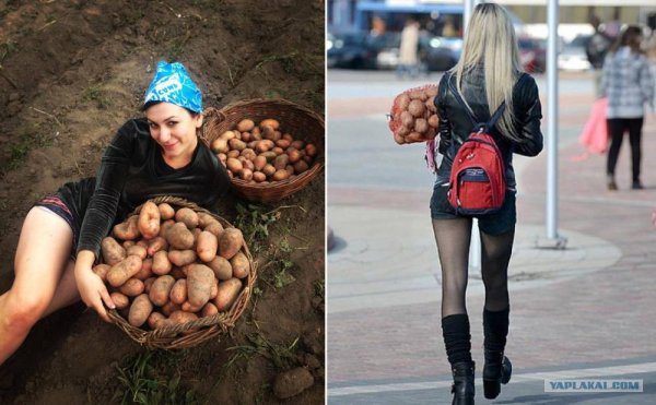 Мешок картошки прикол