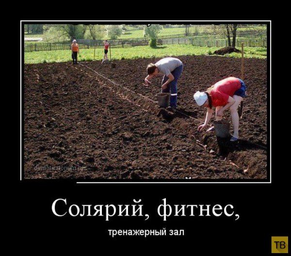 Картоху сажаем приколы